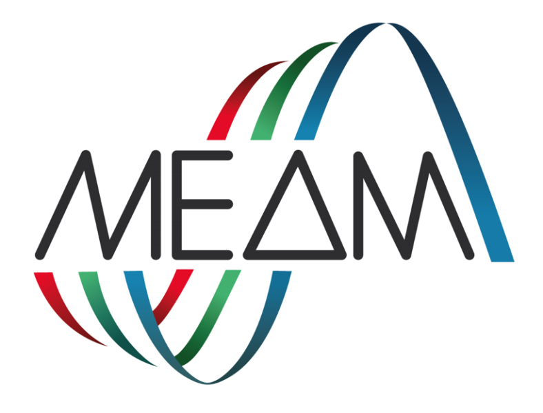File:MEAMlogo.png