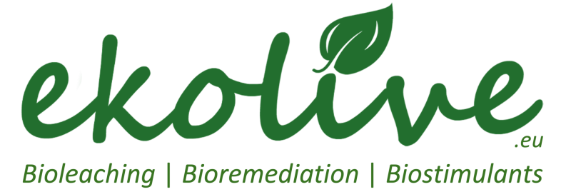 File:Logo cropped-ekolive-2048x689.png